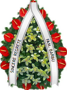 coroana orhidee anthurium