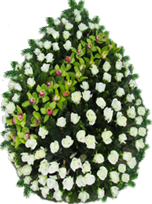 Coroana funerara cu 100 de trandafiri si orhidee