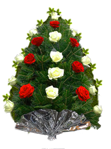 jerba trandafiri albi rosii