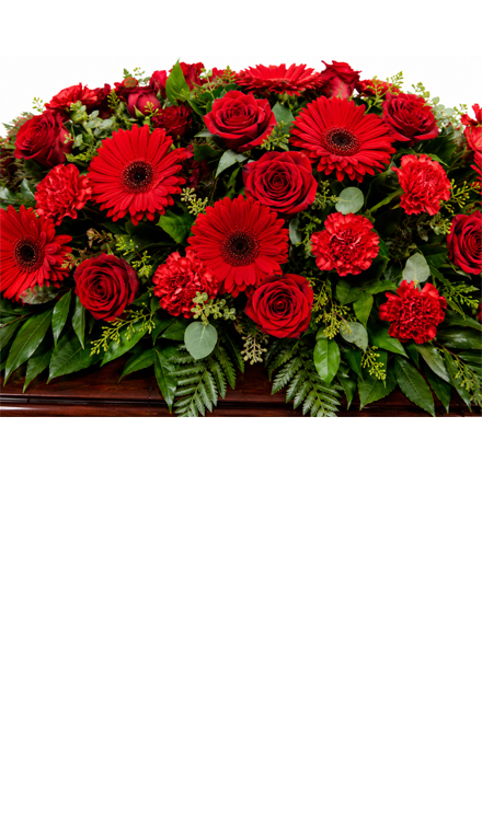 Aranjament funerar pentru sicriu din garoafe roșii, trandafiri roșii și gerbera roșie - vedere pe sicriu