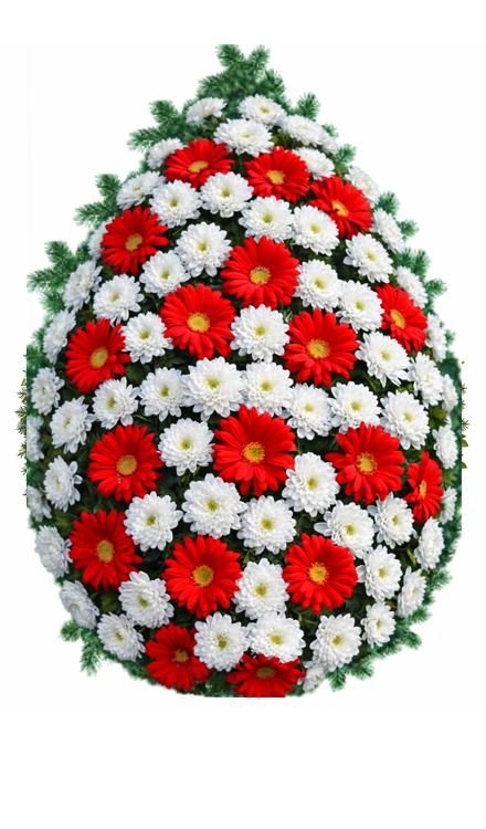 Coroană funerară i100 din crizanteme și gerbere