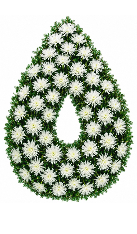 Coroană funerară lacrimă din crizanteme albe