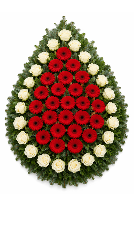 Coroană funerară i62 din gerbera și trandafiri