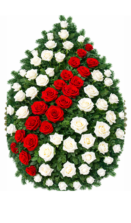 Coroană funerară i68 din trandafiri albi cu diagonală roșie