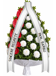 jerba anthurium crizanteme